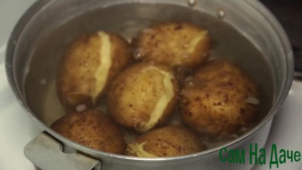 сварите картофель в мундире
