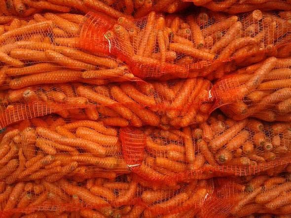 Морковь посадка и уход в открытом грунте когда сажать