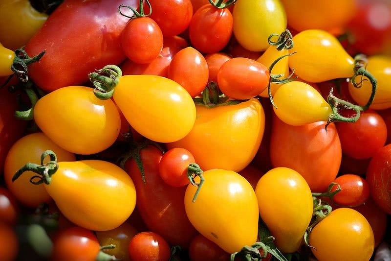 томаты на вкус и цвет